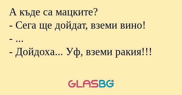А къде са мацките? - Сега ще дойдат...