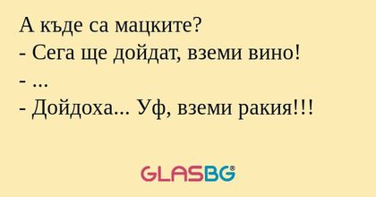 А къде са мацките? - Сега ще дойдат...