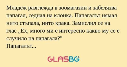 Младеж разглежда в зоомагазин и...