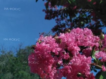 НИМХ: Ще преобладава слънчево време - максималните температури ще са между 29° и 34°