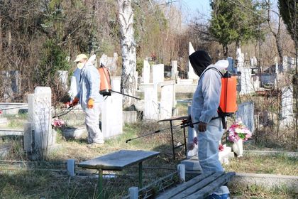 Шумен: Общината уведомява пчеларите за предстоящо пръскане с препарати в землището на града и Дивдядово