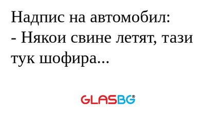 Надпис на автомобил: - Някои свине...