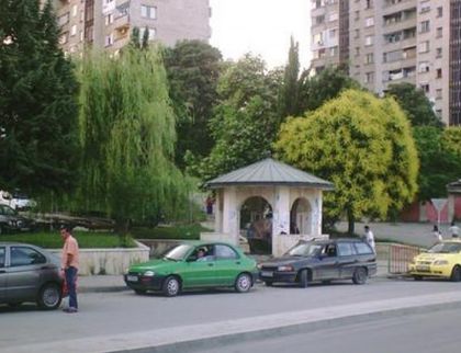 Задържаха чичка за стрелба по куче