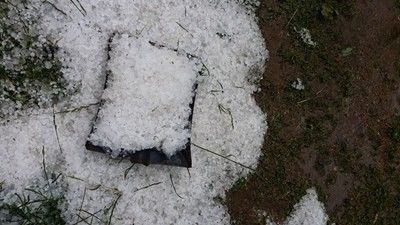 Градушка колкото лешник удари Ардинско (Снимки)