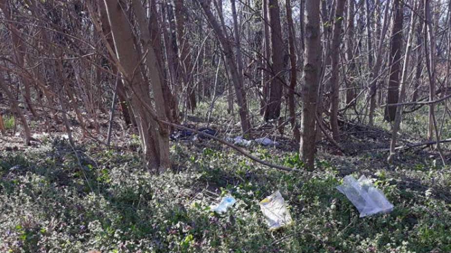 Пловдивчани почистват парк 