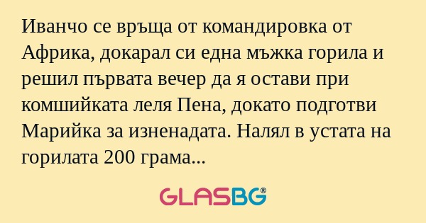 Иванчо се връща от командировка...