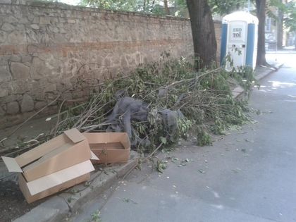 Кой си метна клоните на тротоара в центъра СНИМКИ