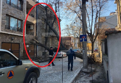Стихия! Трясък и ужас на ул.