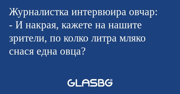 Журналистка интервюира овчар...