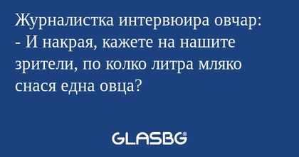 Журналистка интервюира овчар...