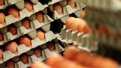 11 акта за магазини на хранителни стоки преди Великден!