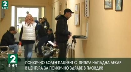 Есенни неволи! Луд нахлу с кръвожаден питбул в Психото в Пловдив, удари глава на лекарка