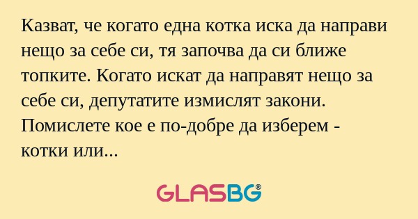 Казват, че когато една котка иска...