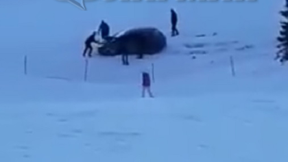Майстор! Шофьор закъса в снега.... на пистата в Пампорово! Скиори се опитват да го избутат (ВИДЕО)