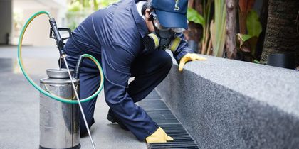 Обработват 16 000 шахти срещу мишки