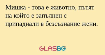Мишка - това е животно, пътят на...
