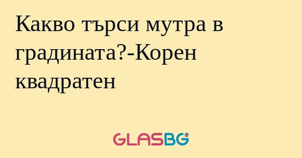 Какво търси мутра в градината?-Корен...