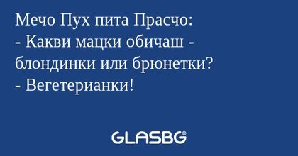 Мечо Пух пита Прасчо: - Какви мацки...