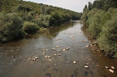 Труп на мъж изплува в Осъм край Ловеч