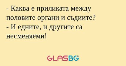 Каква е приликата между половите...