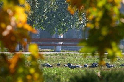 Слънчево време и до 14 градуса ни чакат днес