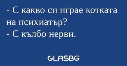 С какво си играе котката на психиатър...