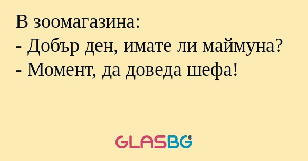 В зоомагазина: - Добър ден, имате...