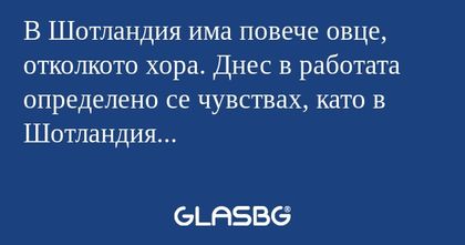 В Шотландия има повече овце, отколкото...