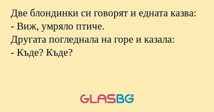 Две блондинки си говорят и едната...