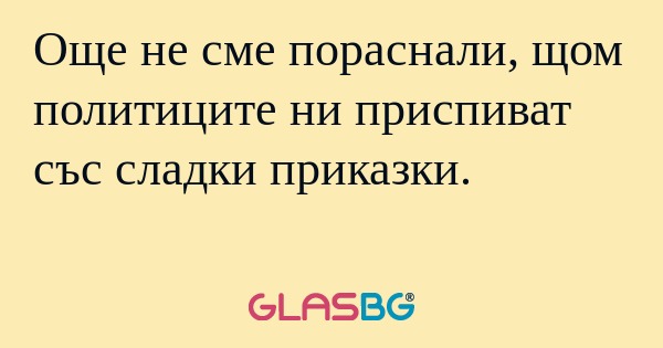 Още не сме пораснали, щом политиците...