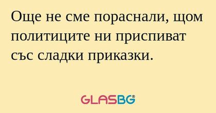Още не сме пораснали, щом политиците...
