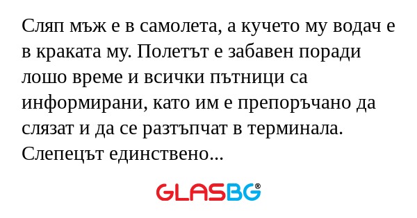 Сляп мъж е в самолета, а кучето...