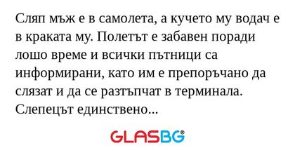 Сляп мъж е в самолета, а кучето...