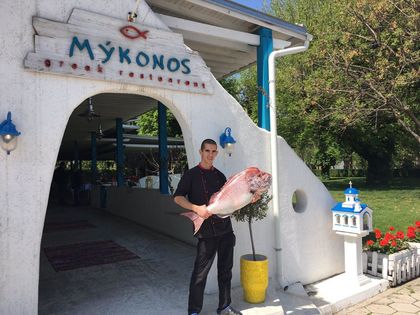 СНИМКИ: Уникални диви рибни екземпляри в пловдивски ресторант!