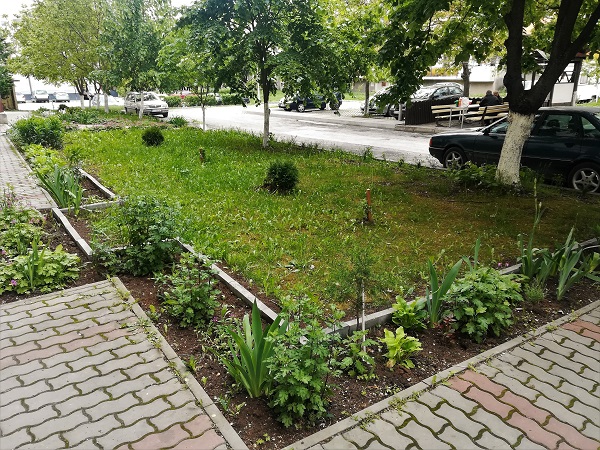 Велико Търново: 1200 цветя и 13 дръвчета получиха великотърновци по проекта „Моята градинка“