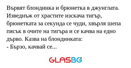 Вървят блондинка и брюнетка в джунглата...