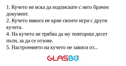 Защо кучетата са по-добри от мъжете?