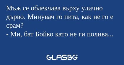 Мъж се облекчава върху улично дърво...