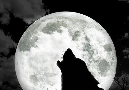 Голям прелом се случва днес: Тази нощ очакваме Вълча Луна! Вижте какво ще стане!