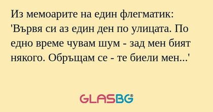 Из мемоарите на един флегматик...