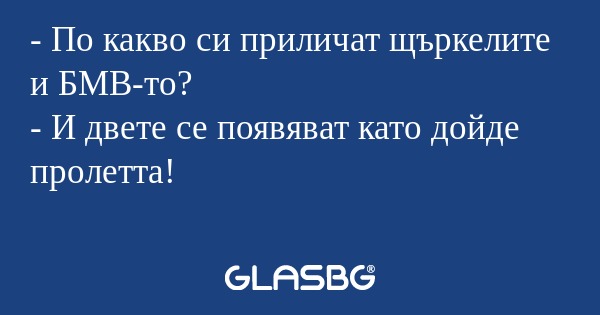 По какво си приличат щъркелите...