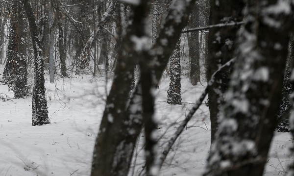 Чудо: Сърбин паднал в кладенец и оцелял при -20°C