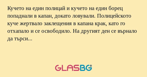 Кучето на един полицай и кучето...