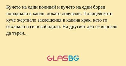 Кучето на един полицай и кучето...