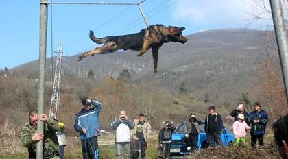 Да тричаме българския комплексар