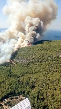 Горският пожар в Анталия се разраства от силния вятър и заплашва къщите (Снимки)