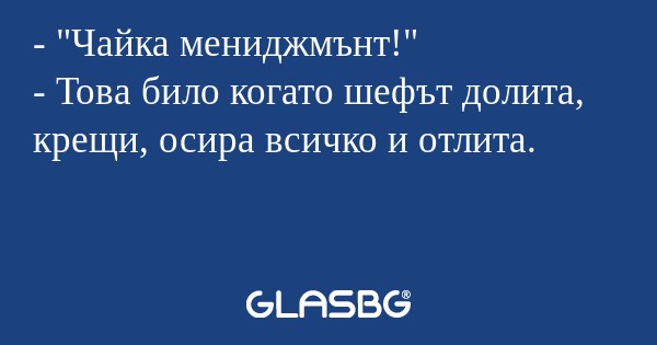 Чайка мениджмънт!