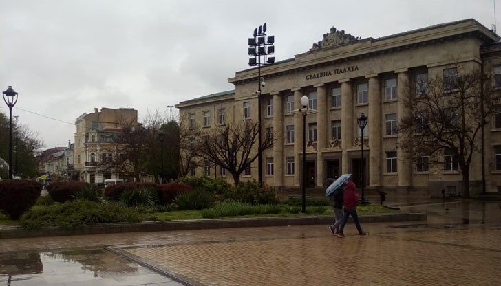 Условна присъда за мъж, отглеждал марихуана в Писанец
