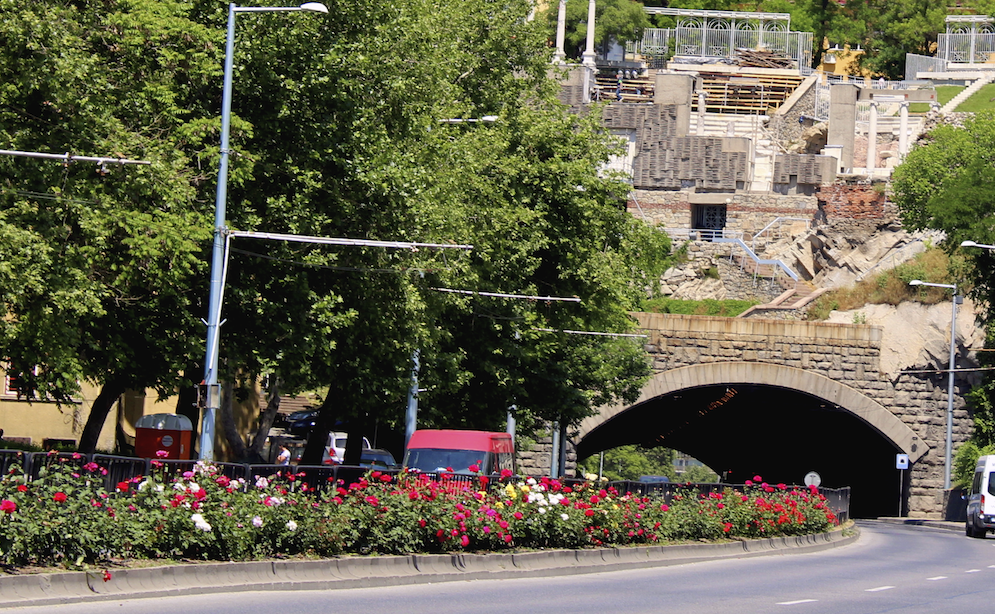 Стотици рози красят булевардите на Пловдив в очакване на пролетта