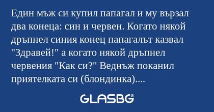 Един мъж си купил папагал и му...